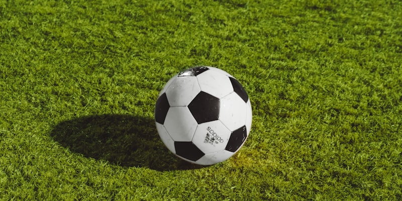 FIFA世界杯最新赛程与球队备战情况深度报道